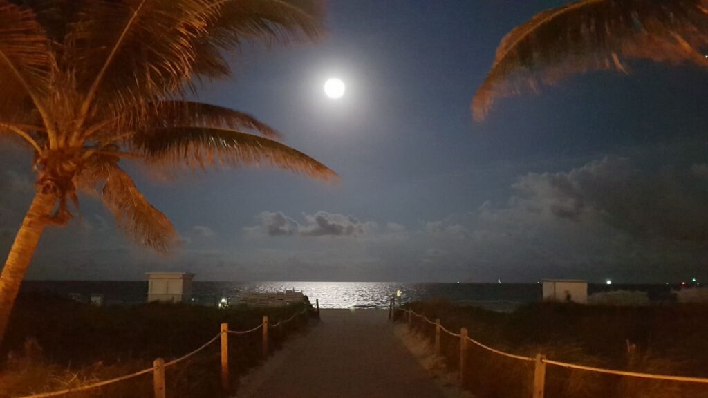 Urlaub Miami & Key West